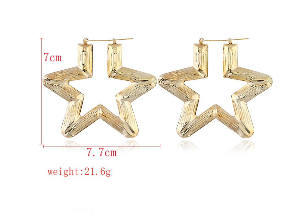 Alloy Earrings - Statement Geometric Women’s Earrings